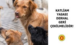 Katliam Yasası Derhal Geri Çekilmelidir!