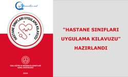 "Hastane Sınıfları Uygulama Kılavuzu" Hazırlandı