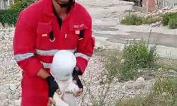 Kafasını bidona sıkıştıran yaramaz köpeğin yardımına itfaiye yetişti