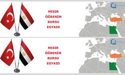 Mısır Öğrenim Bursu EGYAID