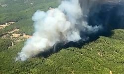 Muğla’da eş zamanlı orman yangını