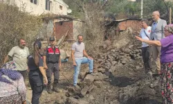 Orman yangınlarıyla ilgili hasar tespit çalışmaları sürüyor