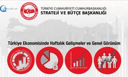 Türkiye Ekonomisinde Haftalık Gelişmeler ve Genel Görünüm 18.10.2024