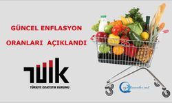 TUİK 2025 Ocak Ayı Enflasyon Oranları Açıklandı