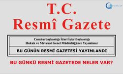 17 Mart 2025 Tarihli ve 32844 Sayılı Resmî Gazete