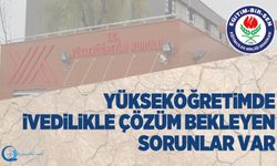 Yükseköğretimde İvedilikle Çözüm Bekleyen Sorunlar Var