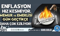 Enflasyon Hız Kesmiyor. Memur ve Emeklisi Gün Geçtikçe Daha Çok Eziliyor