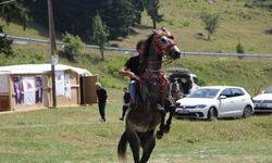 Gökyüzü Gözlem Etkinliği yapılamayınca katılımcılar doğanın tadını çıkardı