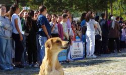 Hisarcık’ta İlköğretim Haftası kutlamalarında sevimli köpek ilgi odağı oldu