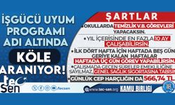 İşgücü Uyum Programı Adı Altında Köle! Aranıyor