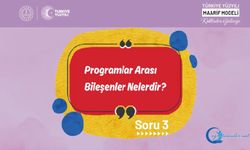 Programlar Arası Bileşenler Nelerdir?