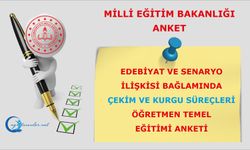 Edebiyat ve Senaryo İlişkisi Bağlamında Çekim ve Kurgu Süreçleri Öğretmen Temel Eğitimi anketi