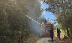 Antakya’da orman yangını kısa sürede söndürüldü