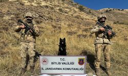 Bitlis’te terör operasyonu, çok sayıda mühimmat ele geçirildi