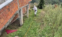 Doğu Karadeniz’in en büyük ilçesi Ortahisar’da kahverengi kokarca ile mücadelede ilaçlama seferberliği başlatıldı