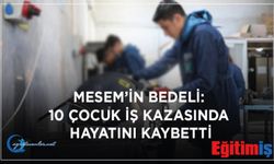 Mesem’in Bedeli: 10 Çocuk İş Kazasında Hayatını Kaybetti!