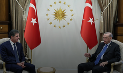 Erdoğan, Irak Kürdistan Bölgesi Başkanı Neçirvan Barzani ile bir araya geldi