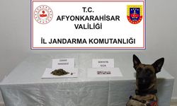 Jandarma uyuşturucu maddeler ele geçirdi