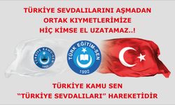 Türkiye Kamu Sen, “Türkiye Sevdalıları” hareketidir.