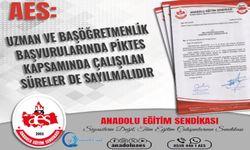 AES: Uzman Ve Başöğretmenlik Başvurularında PİKTES Kapsamında Çalışılan Süreler De Sayılmalıdır