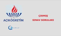 Çıkmış Sınav Soruları