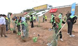 Aydın’da binlerce fidan toprakla buluşacak