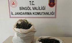 Bingöl’de 7 kilo esrar ele geçirildi