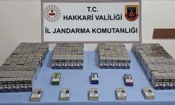 Hakkari’de gümrük kaçakçılığı operasyonu