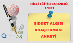 Şiddet Algısı Araştırması