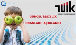 Ocak 2025 İşsizlik Oranları Açıklandı