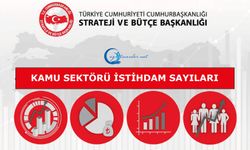 Kamu Sektörü İstihdam Sayıları 2024 4. Çeyrek Açıklandı