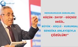 Memurumuzun Sorunları; Kurumsal Sendika Anlayışıyla Çözülür!