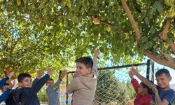 Silvan’da kuş yuvaları ile ekosisteme katkı