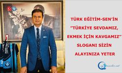 Türk Eğitim-Sen’in, ”Türkiye Sevdamız, ekmek için kavgamız” sloganı sizin alayınıza yeter