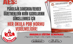 Psi̇koloji̇k Danışman/Rehber Öğretmenleri̇n Norm Kadroları Güncellenmelidir