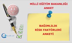 Bağımlılık Risk Faktörleri Anketi