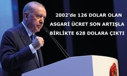 2002’de 126 dolar olan asgari ücret, son artışla birlikte 628 dolara çıktı