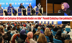 Şiddet ve Çatışma Ortamında Kadın ve Aile Paneli Çalıştayı Gerçekleştirildi