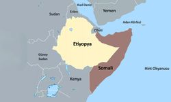 Etiyopya, Somali'nin 2 katı büyüklüğünde, devasa bir yer ama denize kapalı. Etiyopya'dan denize çıkamıyorsunuz