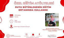 Duyu Bütünlemenin Eğitim Ortamında Kullanımı