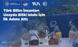 Türk Bilim İnsanları Uzayda Bitki Islahı İçin İlk Adımı Attı