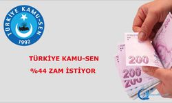 Türkiye Kamu-Sen %44 zam istiyor