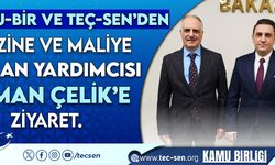 Teç-Sen'den Hazine Ve Maliye Bakan Yardımcısı Osman Çelik Ziyaret