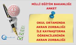 Okul Ortamında Akran Zorbalığı ile Kaynaştırma Öğrencilerinin Akran Zorbalığına Yönelik Anket