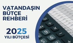 2025 Yılı Bütçesi Vatandaşın Bütçe Rehberi