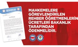 Mahkemelere Görevlendirilen Rehber Öğretmenlerin Ücretleri Bakanlık Tarafından Ödenmelidir