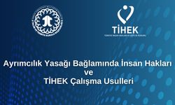 Ayrımcılık Yasağı Bağlamında İnsan Hakları ve TİHEK Çalışma Usulleri