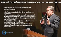 Emekli Olduğumuzda Tutunacak Dal Aramayalım!