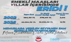 Emekli Maaşları Yıllar İçerisinde Eridi!