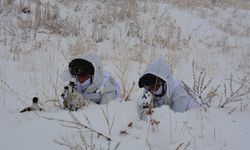 6 PKK/YPG'li terörist etkisizleştirildi